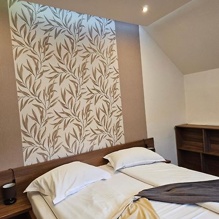 Pensiunea Michael'S House Рупя Экстерьер фото
